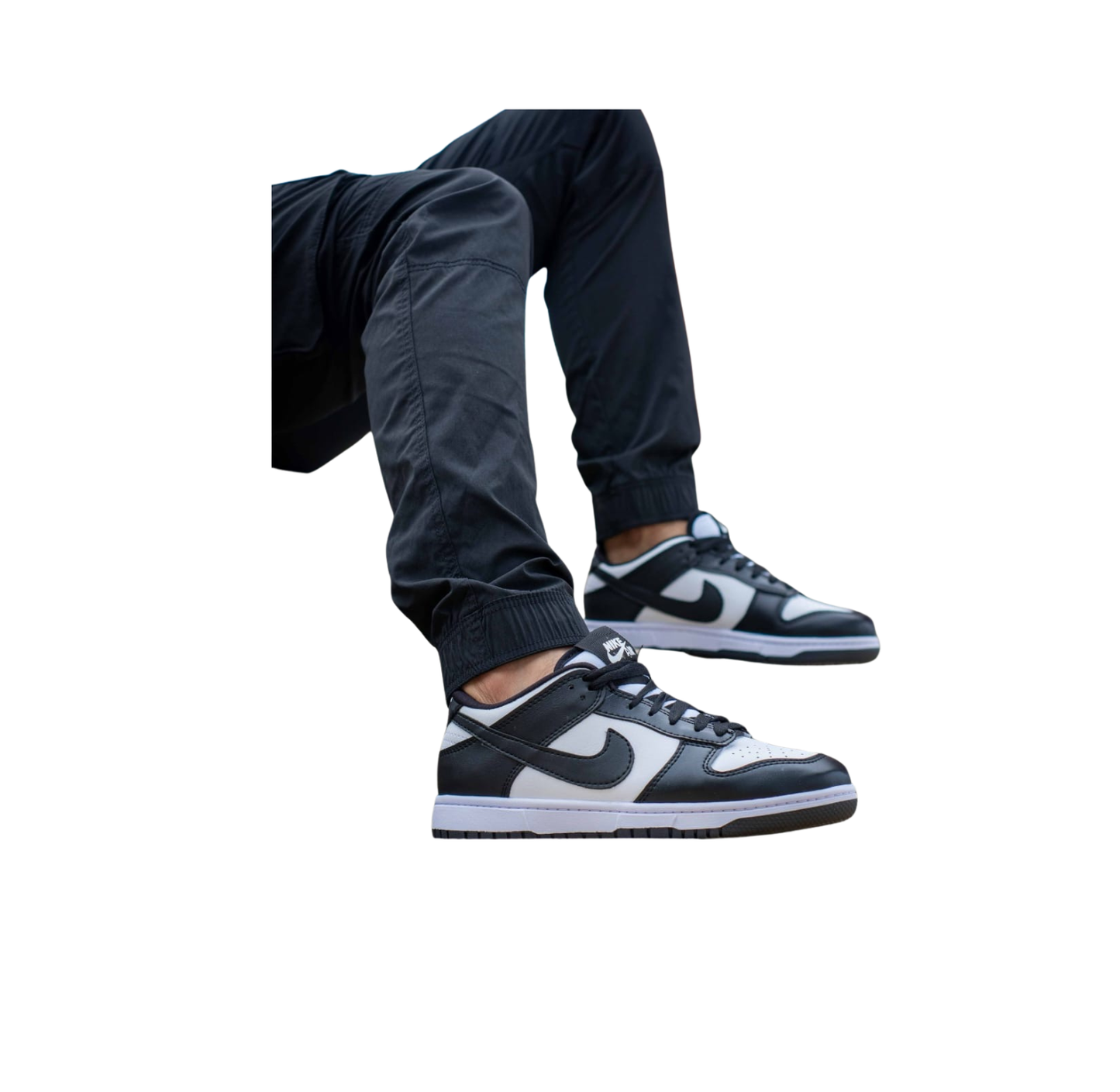 Tenis Nike Sb Dunk (867760)